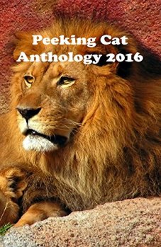 peeking-cat-poetry-2016-anthology