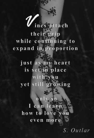 Vines (graphic by Holly Holt)