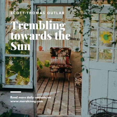 Trembling toward the Sun - Merak Mag