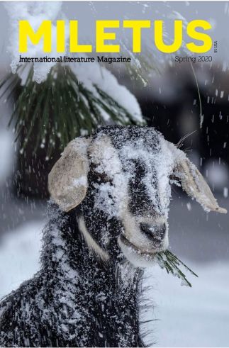 Miletus issue 5 cover